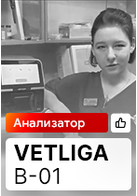 Видеоотзыв от ветеринарной клиники «Доктор Зоо»