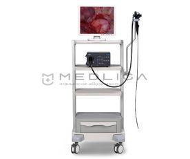 Mindray Vetina ES3