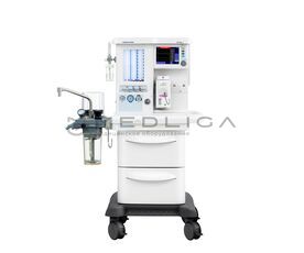 MS Westfalia Maja X40