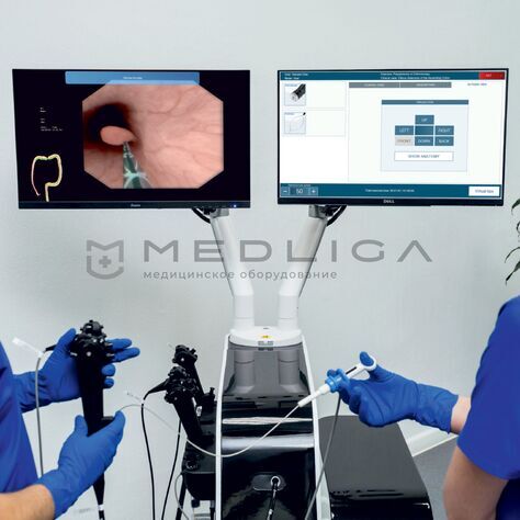 MedVision EndoVision, 4