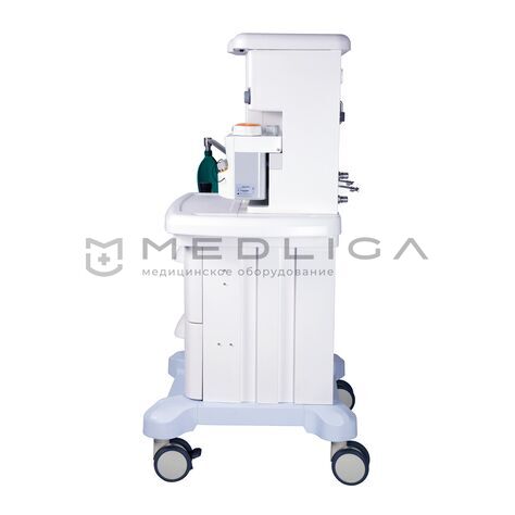 MS Westfalia Maja X40, 6