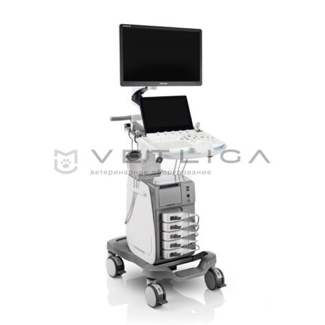 SonoScape ProPet 80, 3